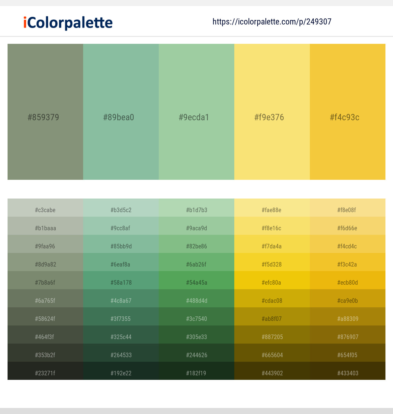 249307366 Bright Color Palettes