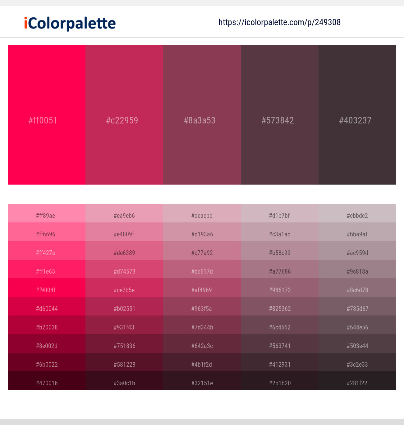 249308366 Bright Color Palettes
