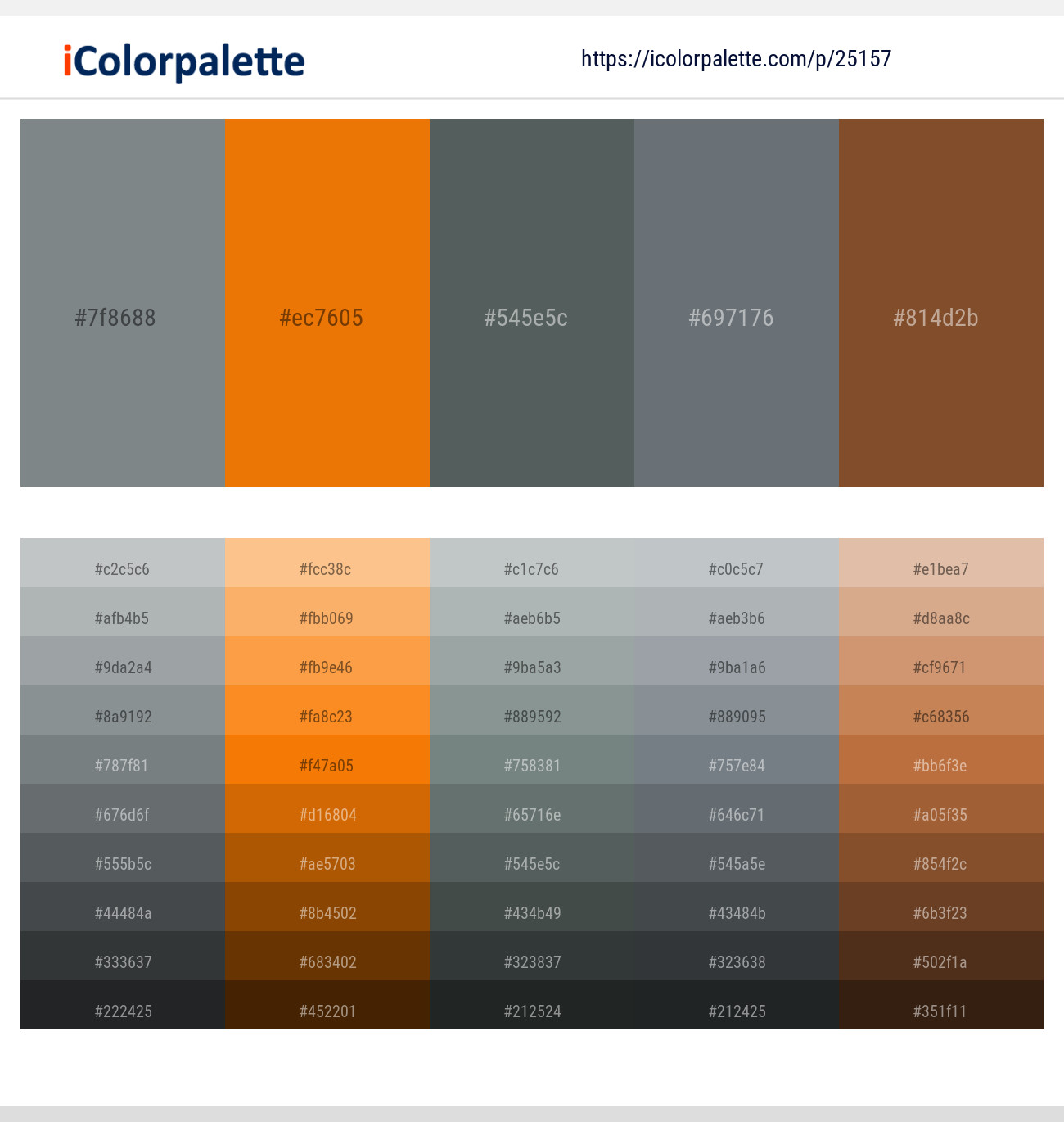 1+ Oslo Gray And Nutmeg Color Palettes & Gradient Ideas