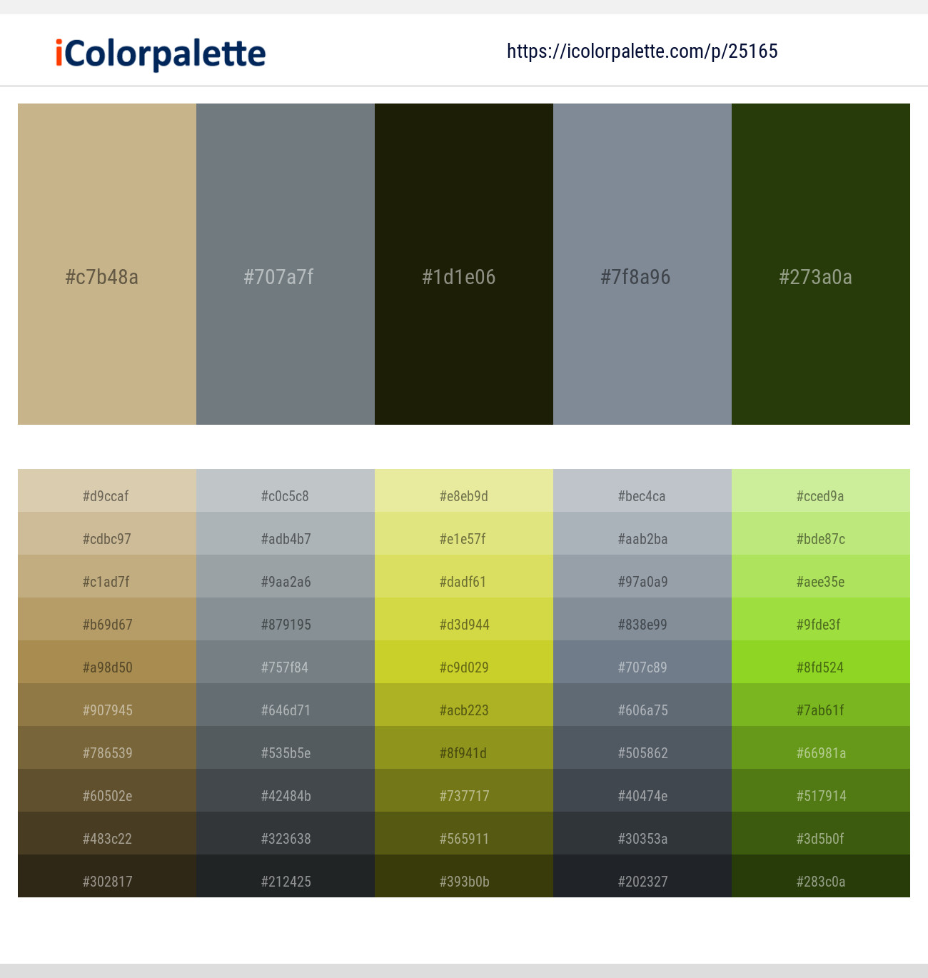 Sorrell Brown – Rolling Stone – Green Waterloo – Regent Gray – Turtle Green Color scheme