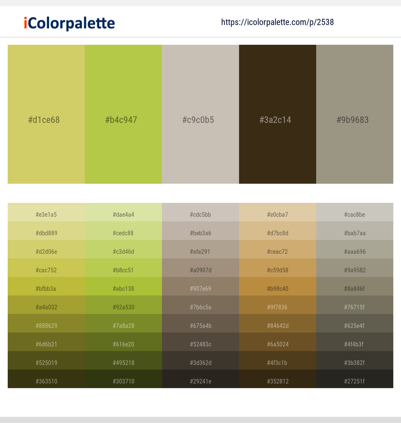 Tacha – Turmeric – Tea – Mikado – Gurkha Color scheme