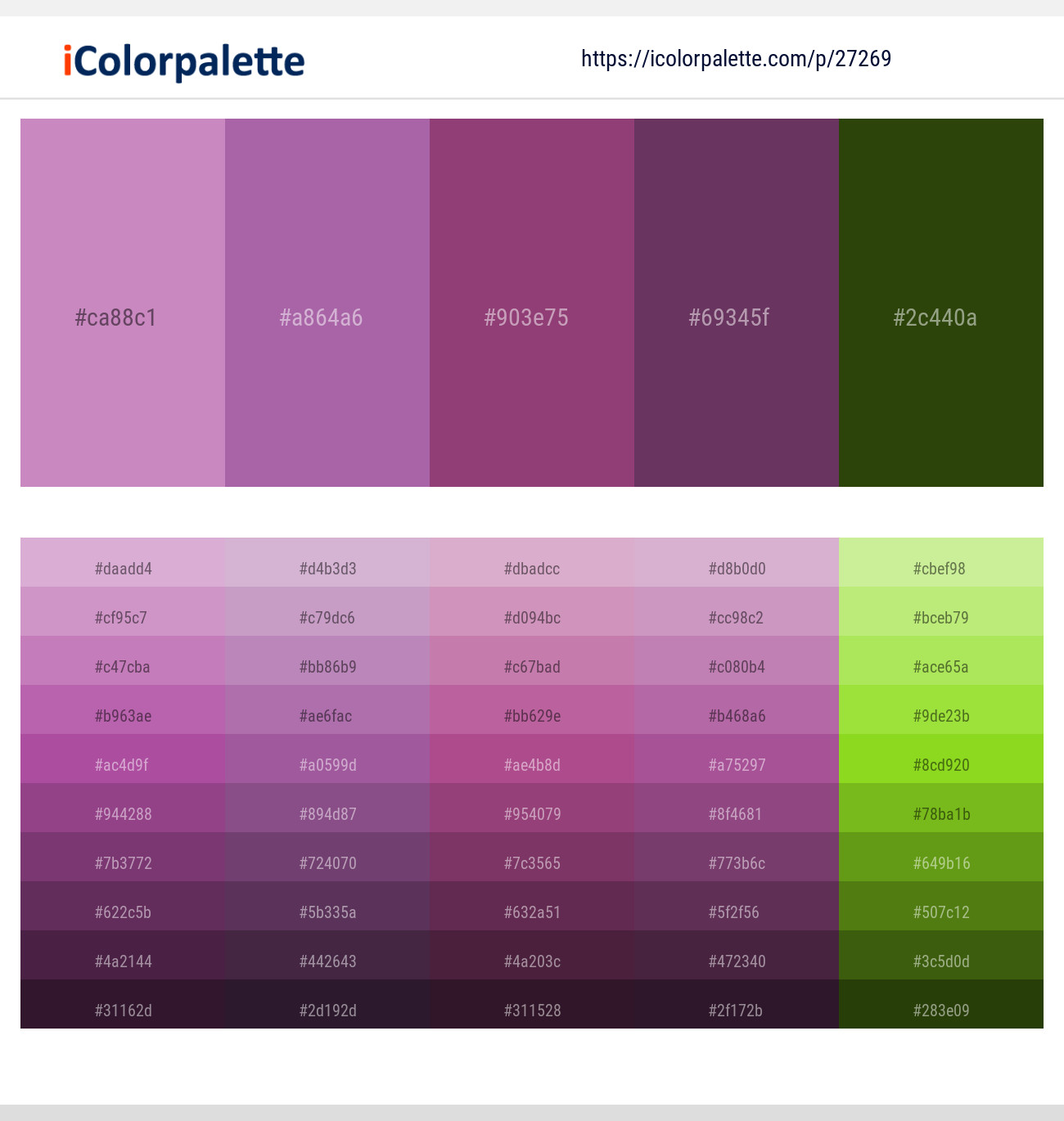 Viola – Bouquet – Cannon Pink – Cosmic – Turtle Green Color scheme