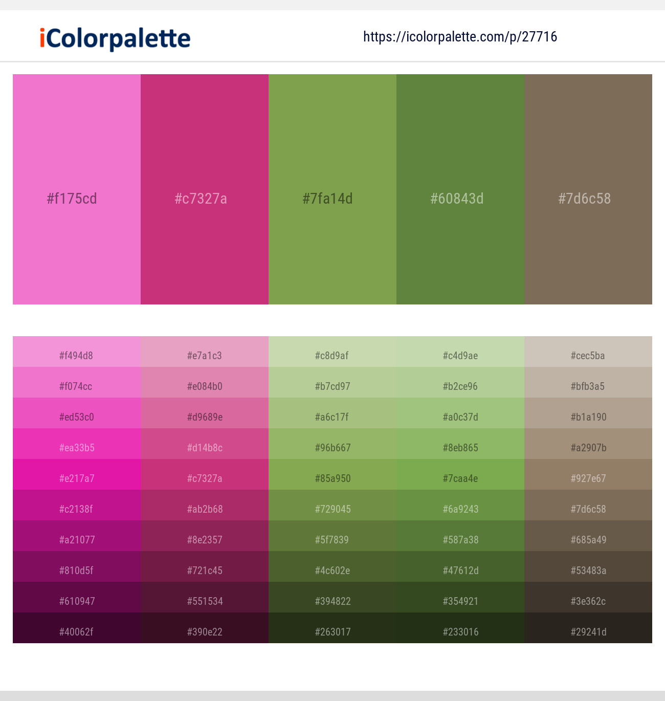 Persian Pink – Medium Red Violet – Chelsea Cucumber – Fern Green – Coffee Color scheme