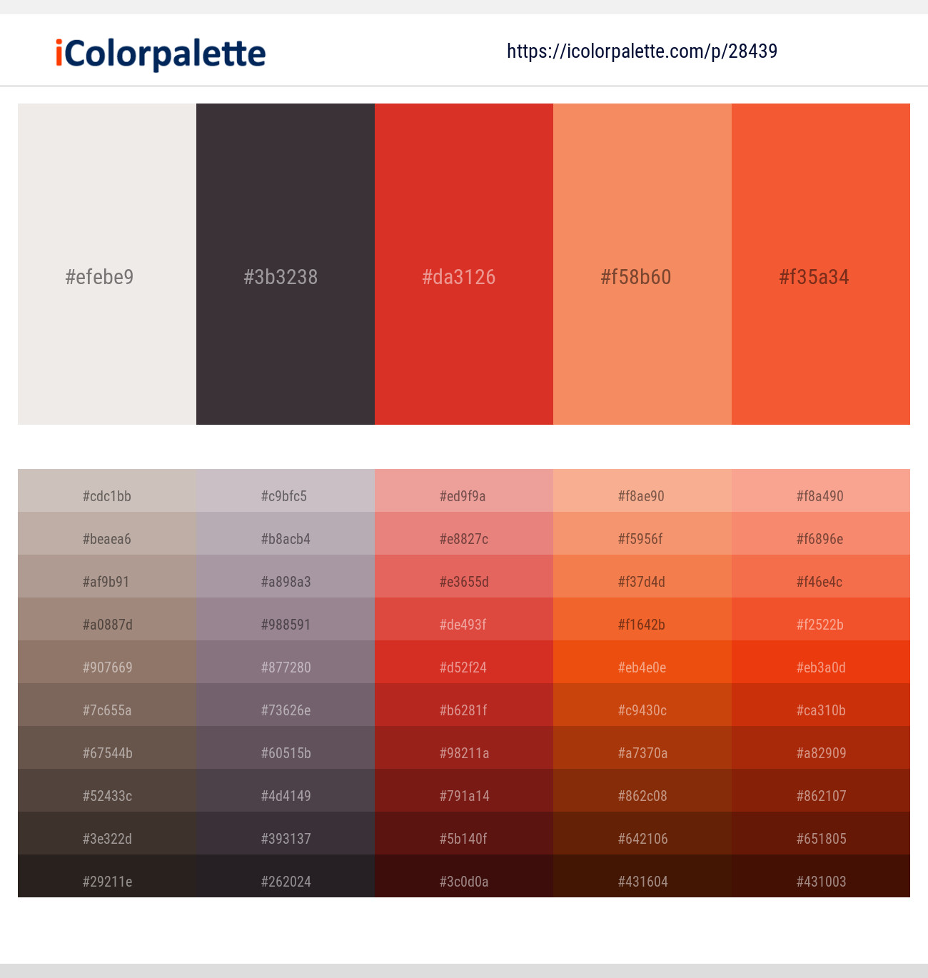Ebb – Thunder – Punch – Sandy brown – Flamingo Color scheme