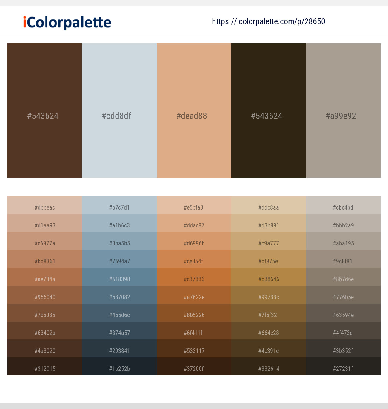 Irish Coffee – Geyser – Tumbleweed – Mikado – Bronco Color scheme