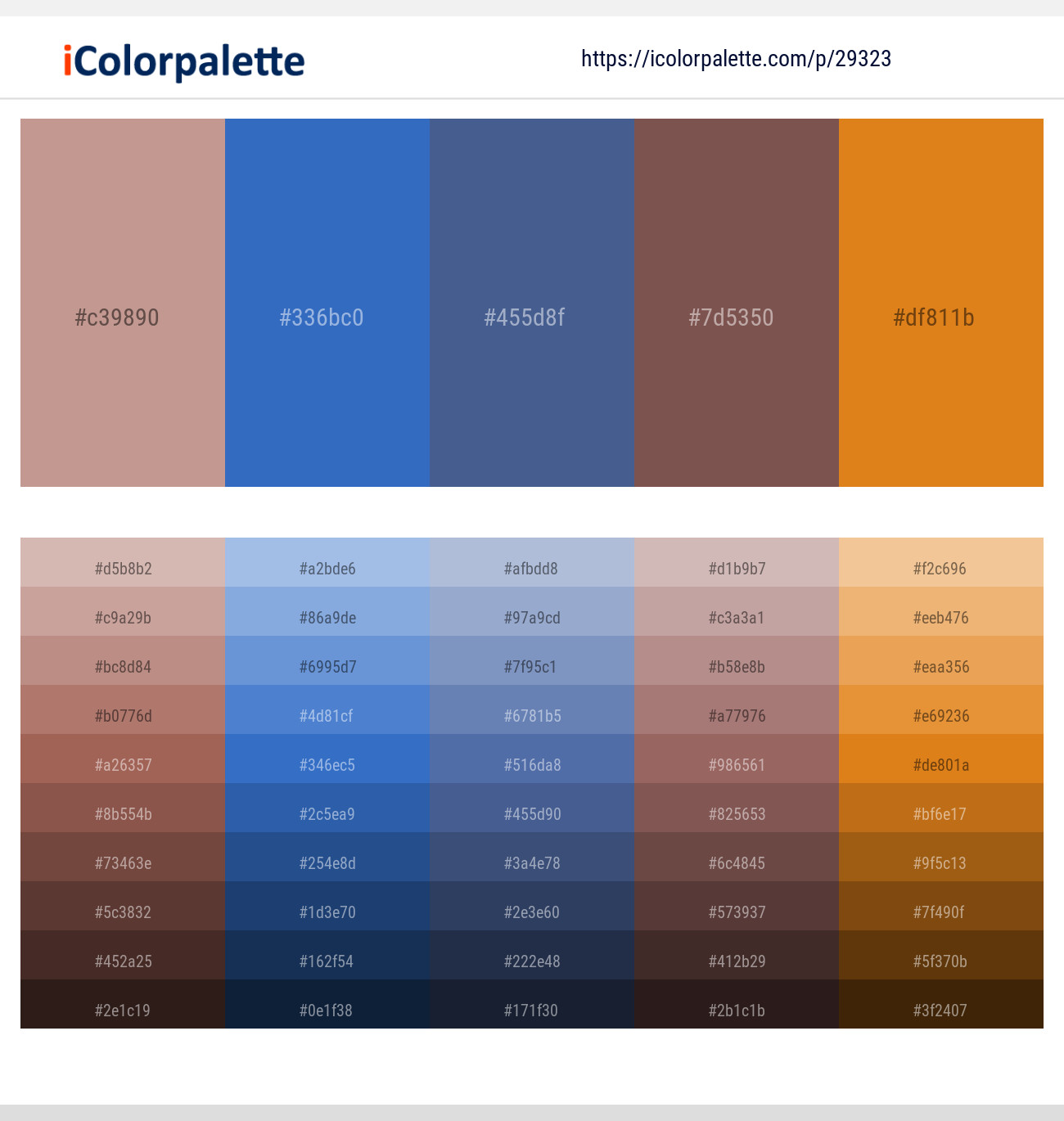 Oriental Pink – Cerulean Blue – Kashmir Blue – Roman Coffee – Zest Color scheme