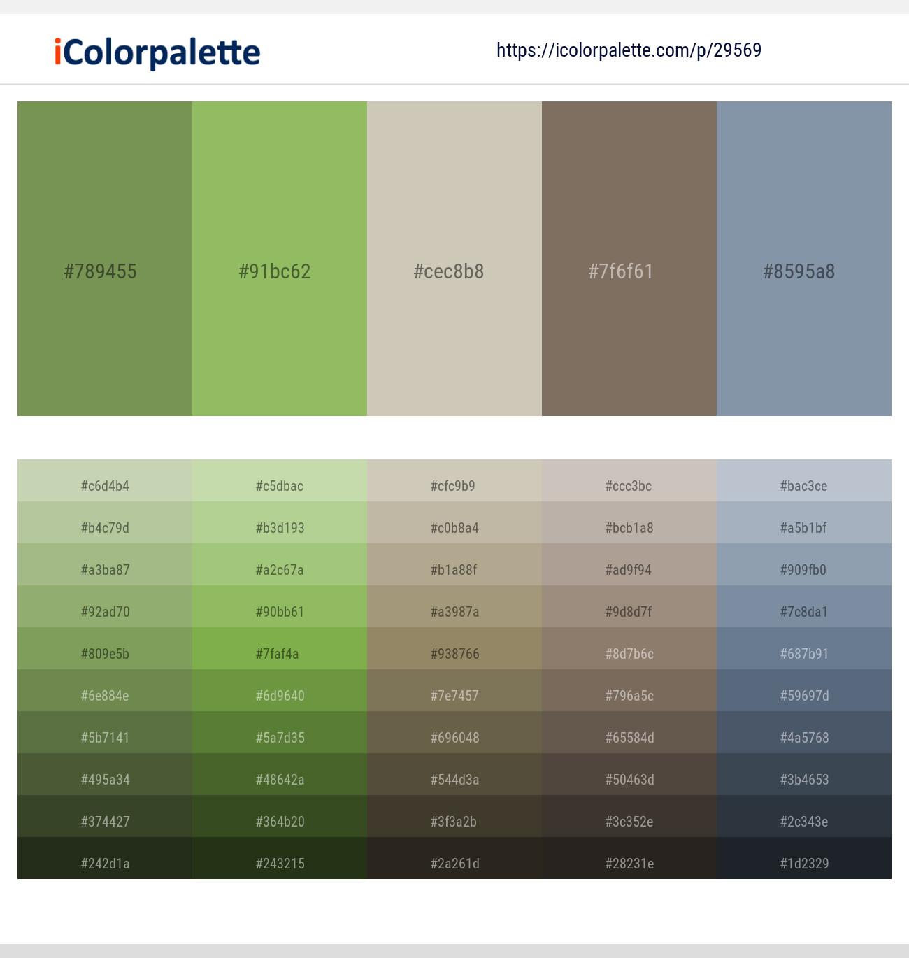 Asparagus – Olivine – Foggy Gray – Sand Dune – Bali Hai Color scheme