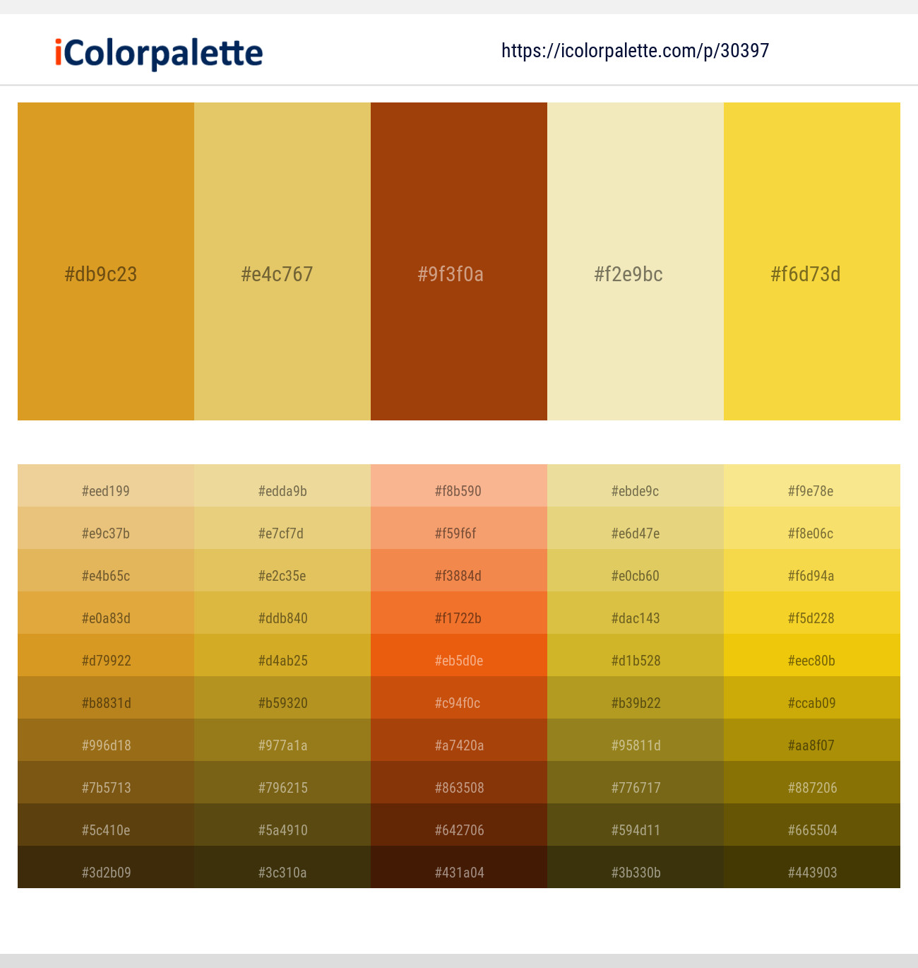 Golden Grass – Equator – Vesuvius – Sidecar – Saffron Color scheme