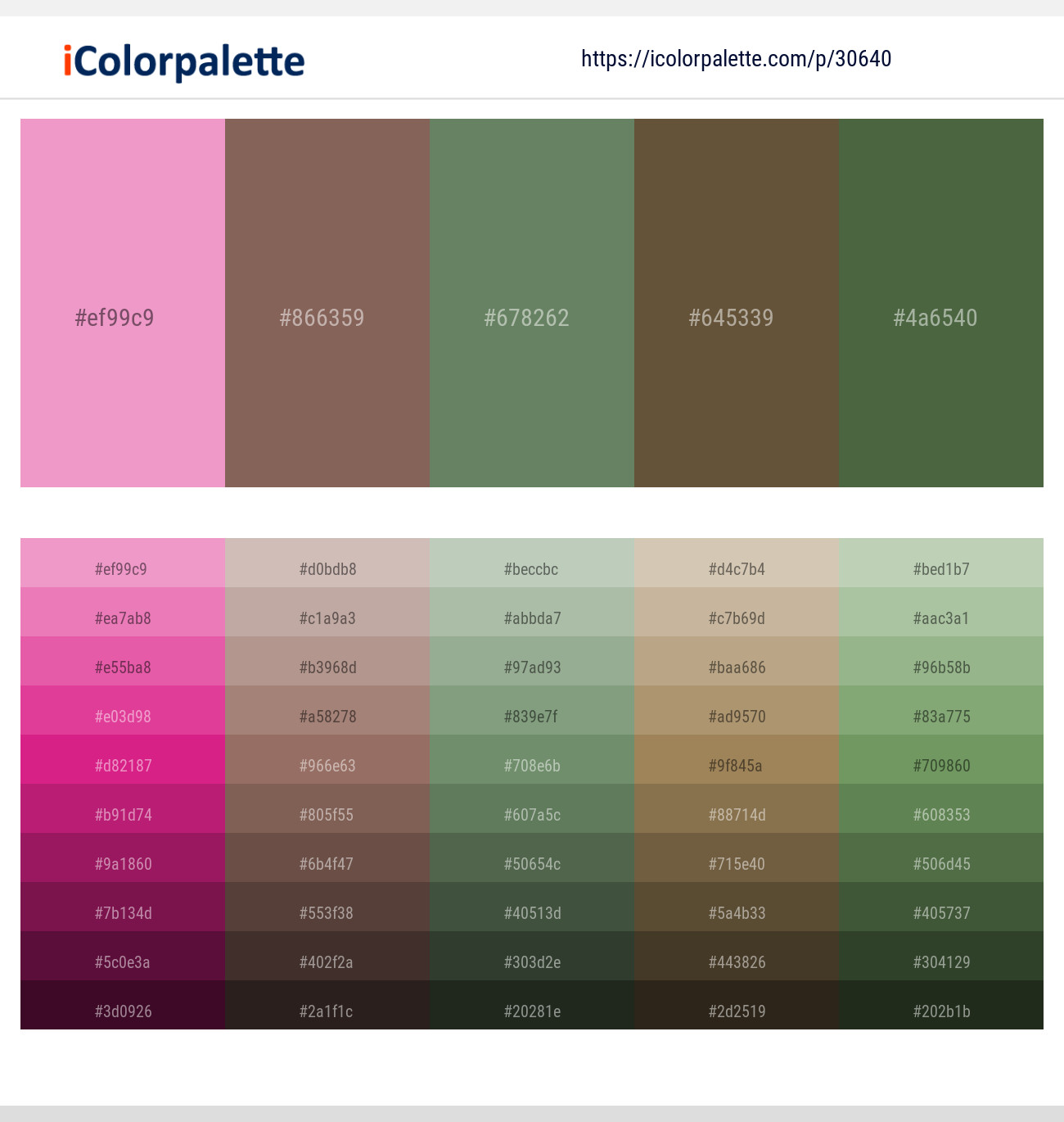 Illusion – Beaver – Glade Green – Millbrook – Axolotl Color scheme