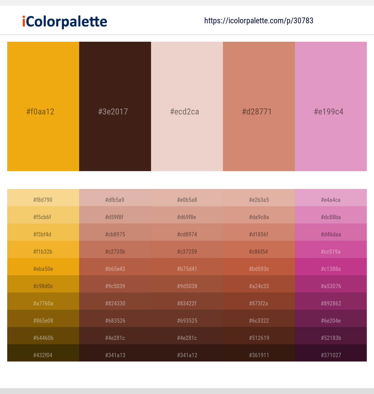 Buttercup – Cedar – Oyster Pink – New York Pink – Shocking Color scheme