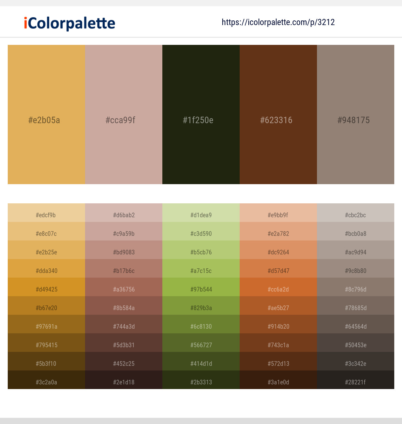 Equator – Eunry – Seaweed – Jambalaya – Almond Frost Color scheme