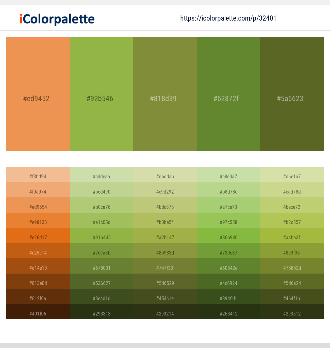 Jaffa – Sushi – Sycamore – Crete – Fern Frond Color scheme