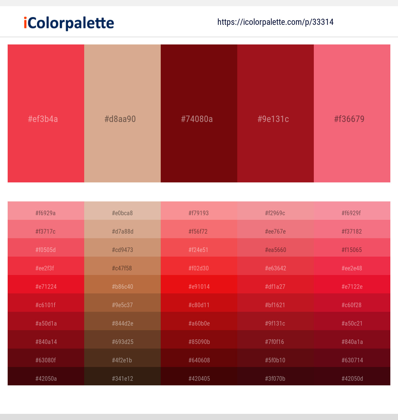 Amaranth – Cameo – Dark Burgundy – Tamarillo – Froly Color scheme