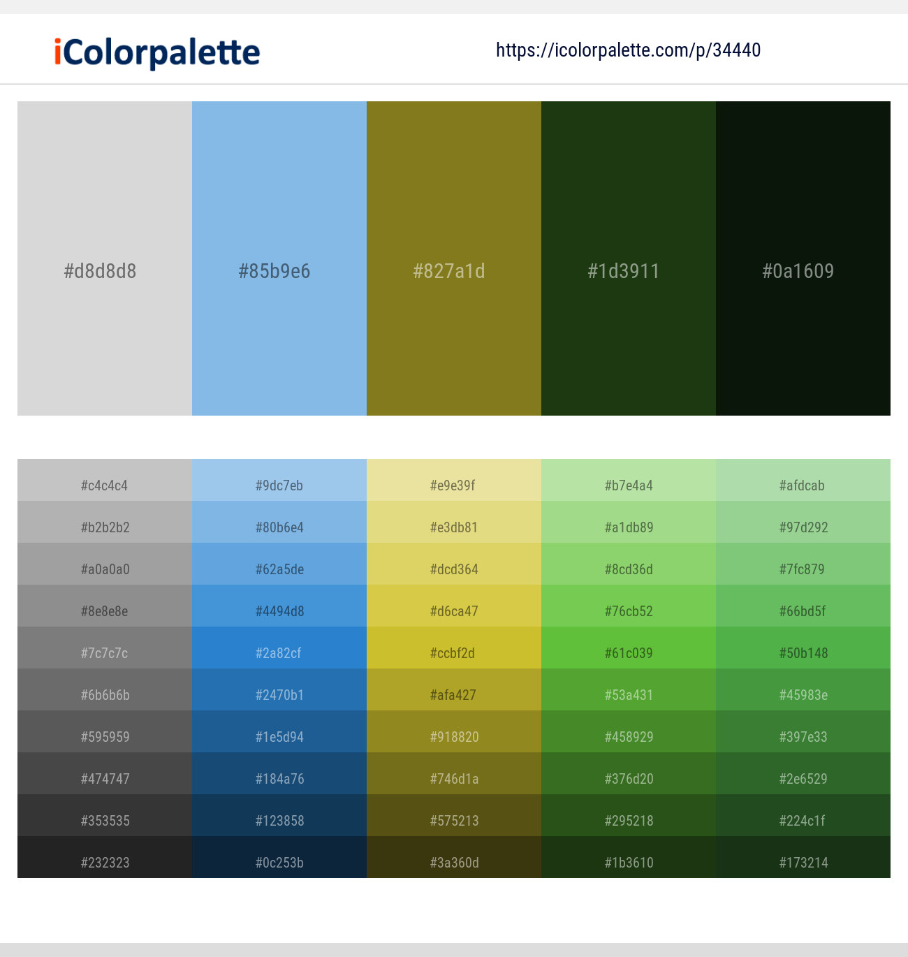 Alto – Cornflower – Pacifika – Palm Leaf – Gordons Green Color scheme