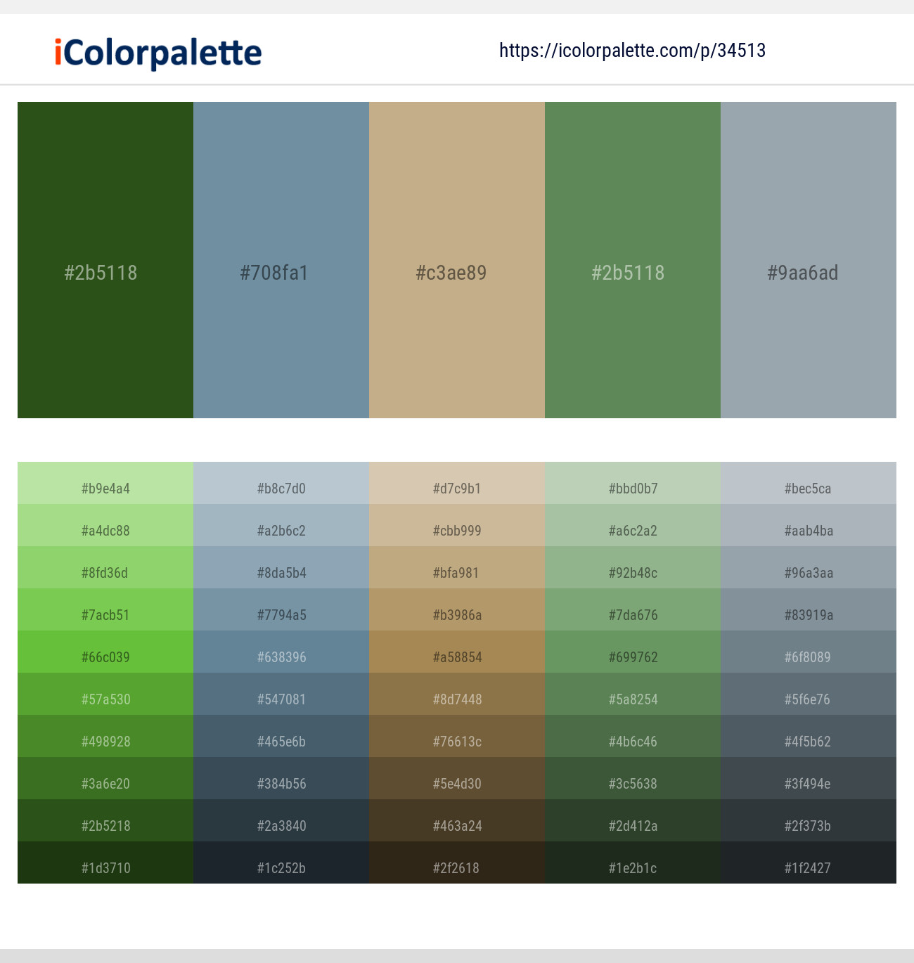 Parsley – Gothic – Indian Khaki – Glade Green – Hit Gray Color scheme
