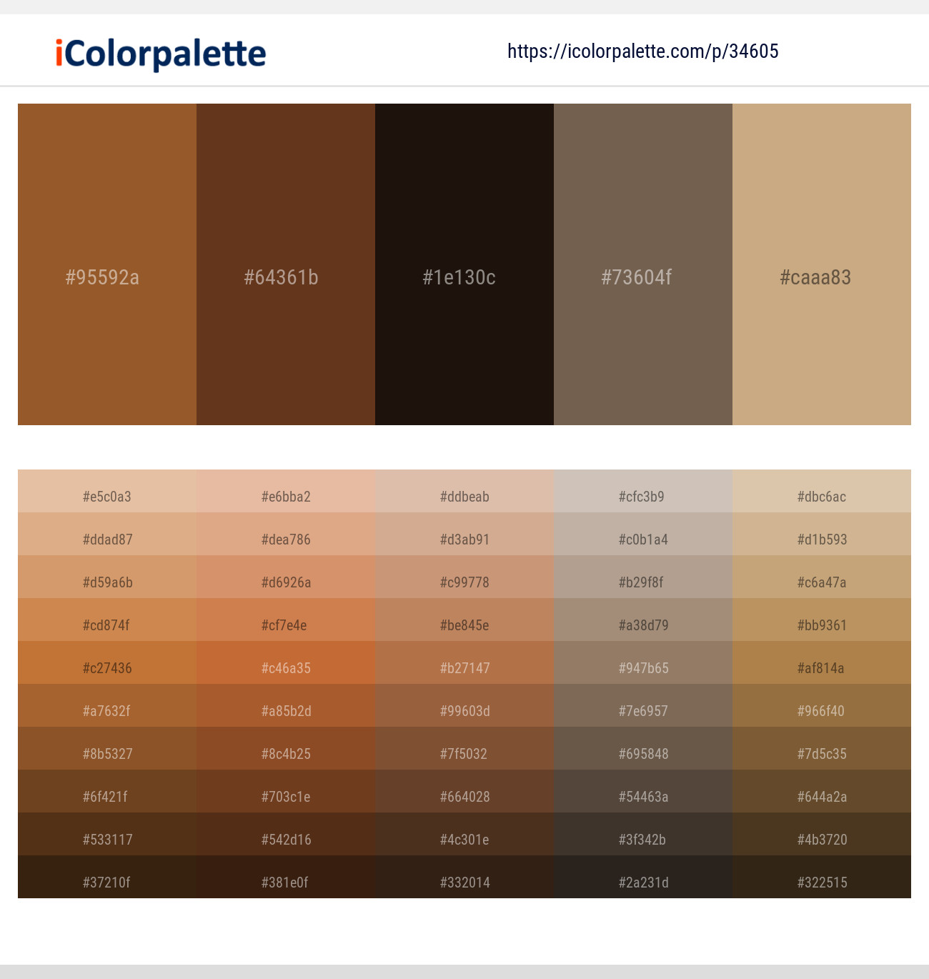 1 Latest Color Schemes with Espresso And Eternity Color tone combinations, 2024