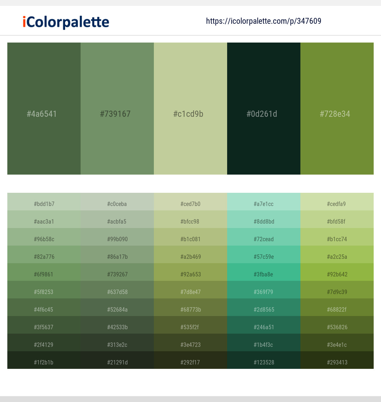 Axolotl – Highland – Pine Glade – Black Bean – Crete Color scheme