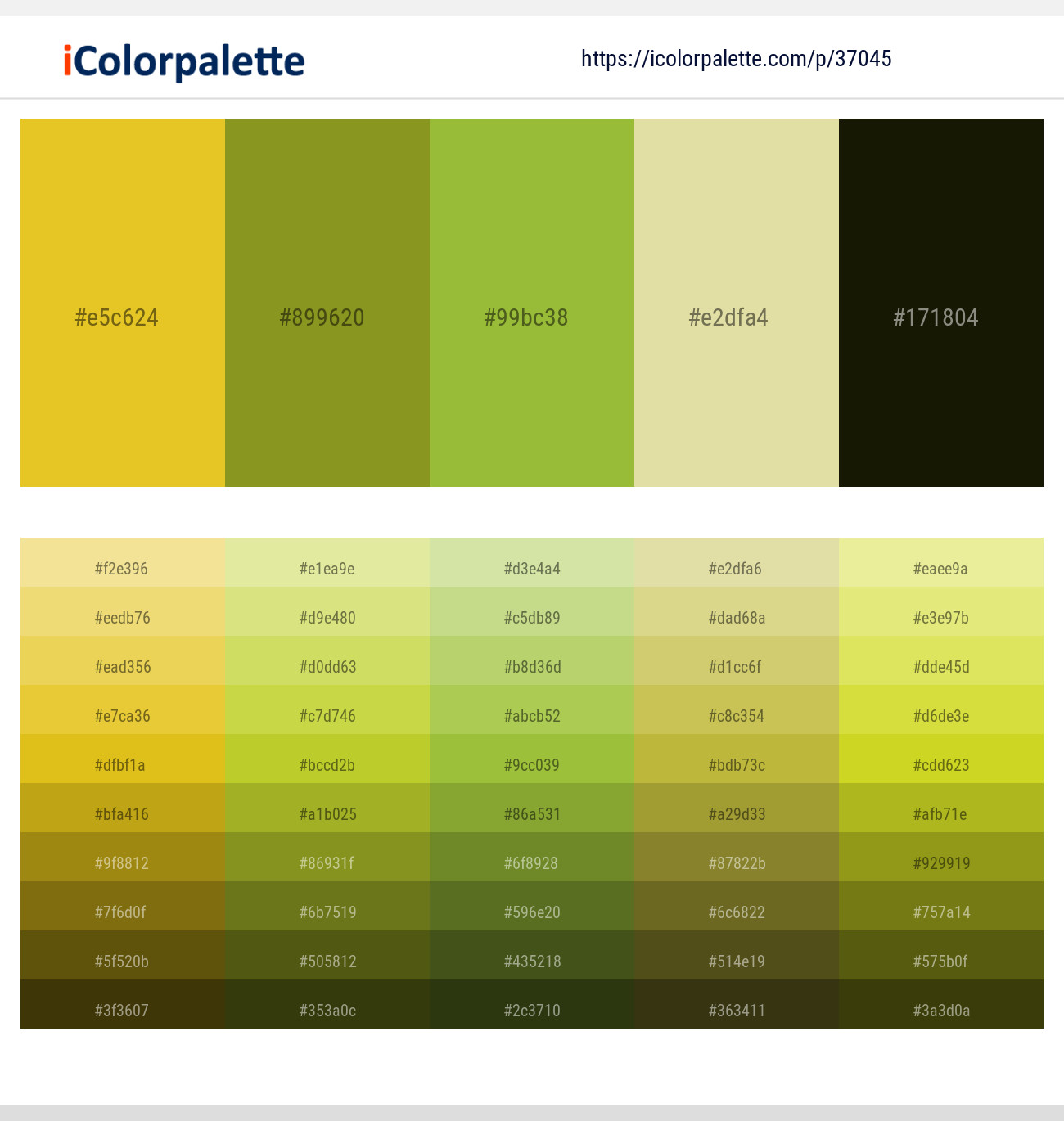 Sunflower – Trendy Green – Sushi – Hampton – Acadia Color scheme