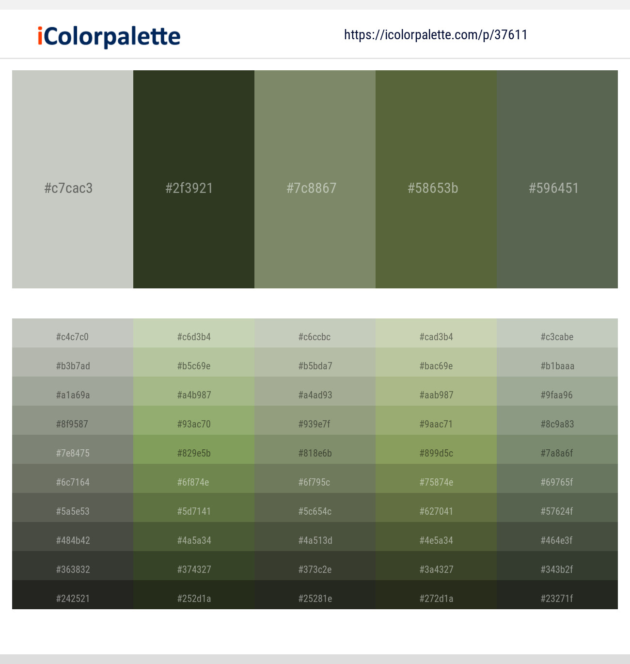 Kangaroo – Green Kelp – Flax Smoke – Verdigris – Siam Color scheme
