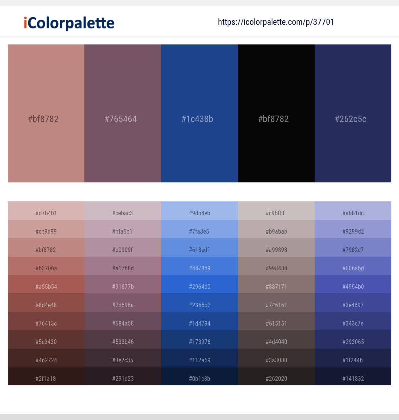 Old Rose – Falcon – Chathams Blue – Black – Cloud Burst Color scheme