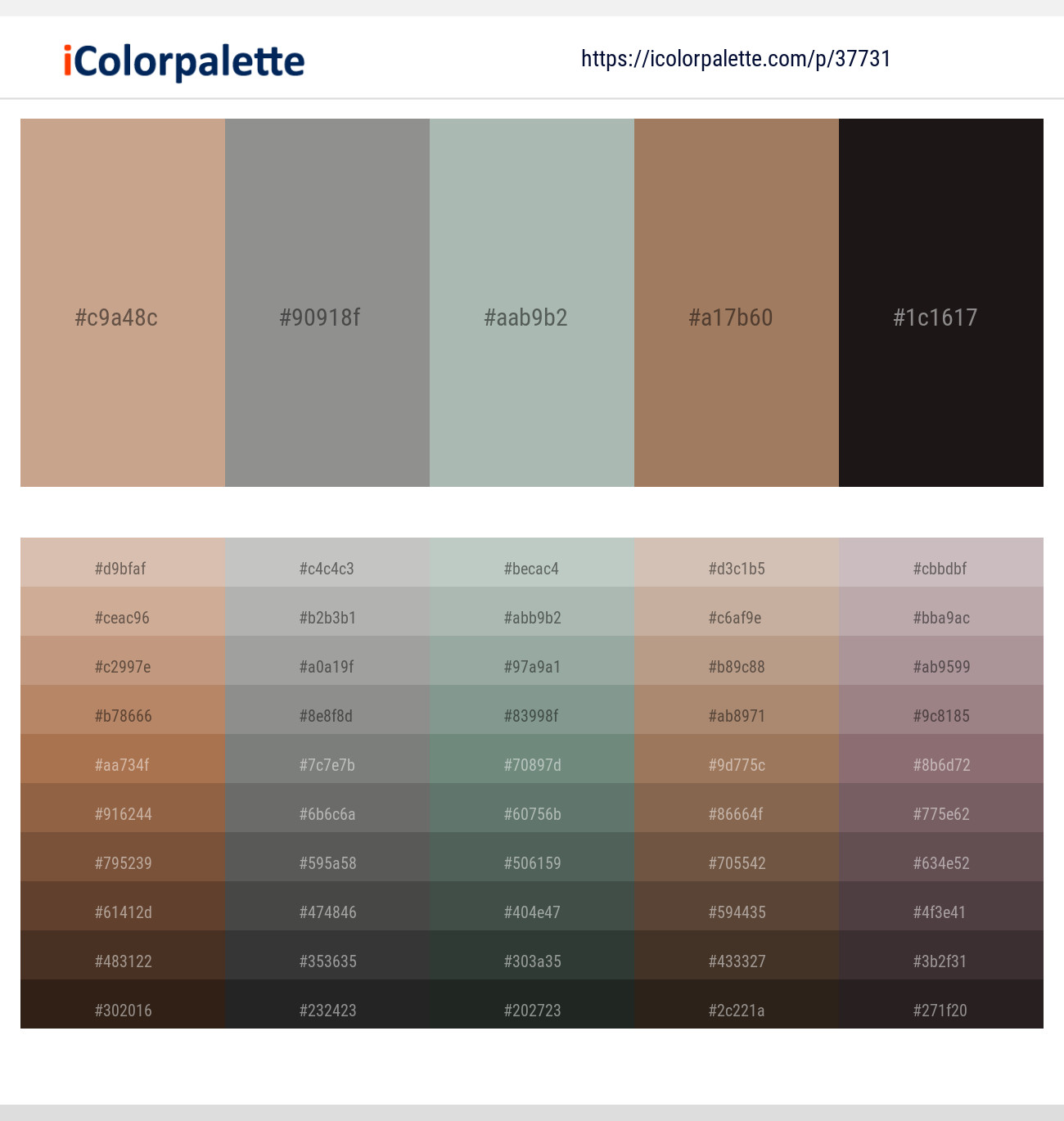 13 Latest Color Schemes with Sorrell Brown And Leather Color tone  combinations, 2023