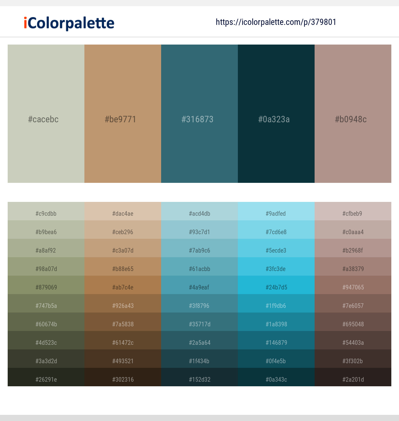 Foggy Gray – Muddy Waters – Casal – Tiber – Del Rio Color scheme