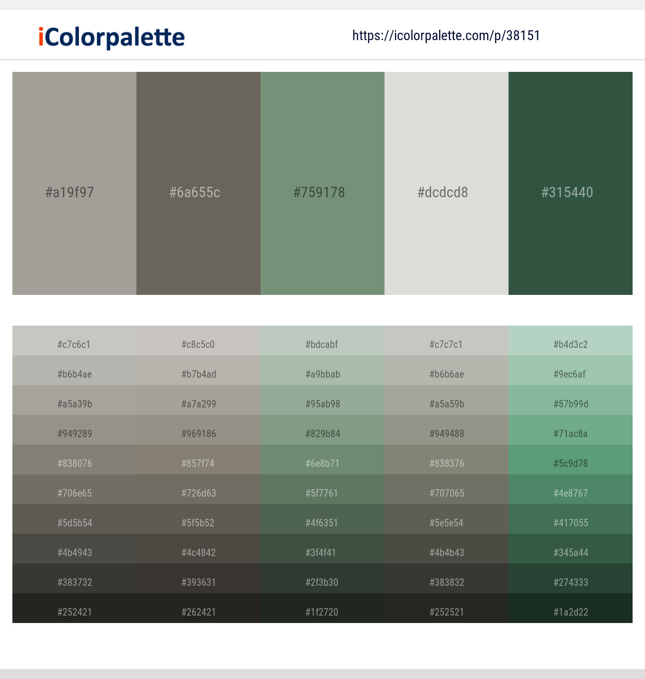 Dawn – Flint – Laurel – Quill Gray – Stromboli Color scheme