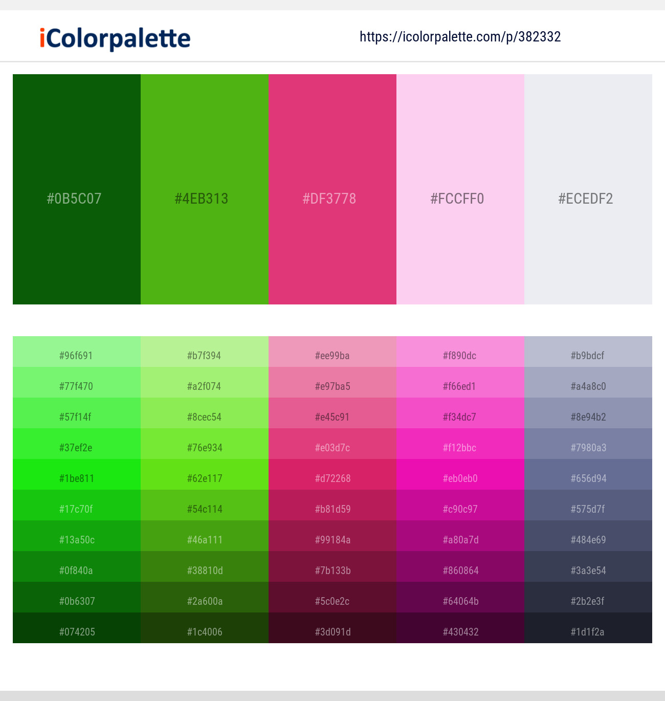 382332366 Bright Color Palettes