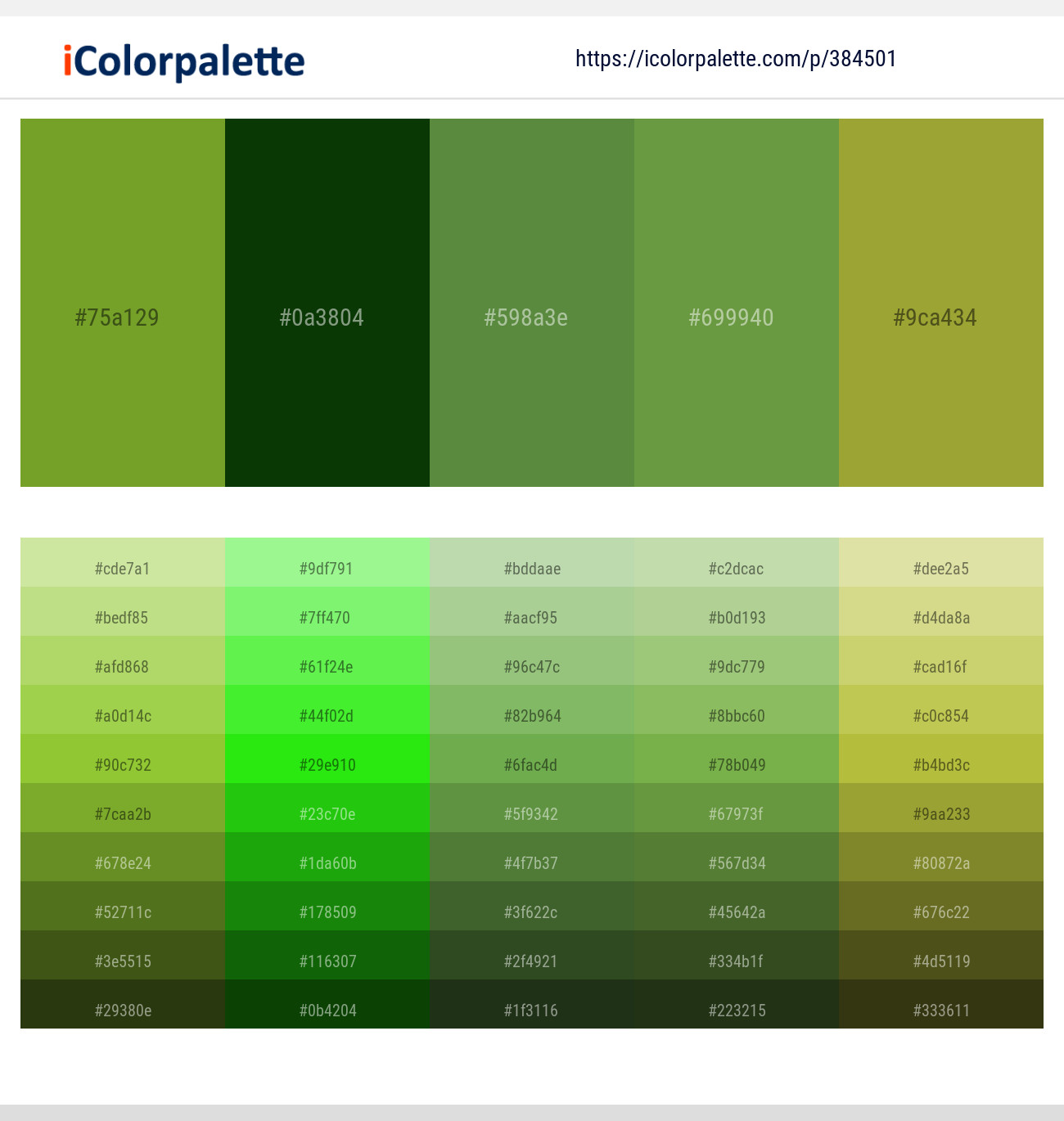 Olive Drab – English Holly – Fern Green – Apple – Sushi Color scheme
