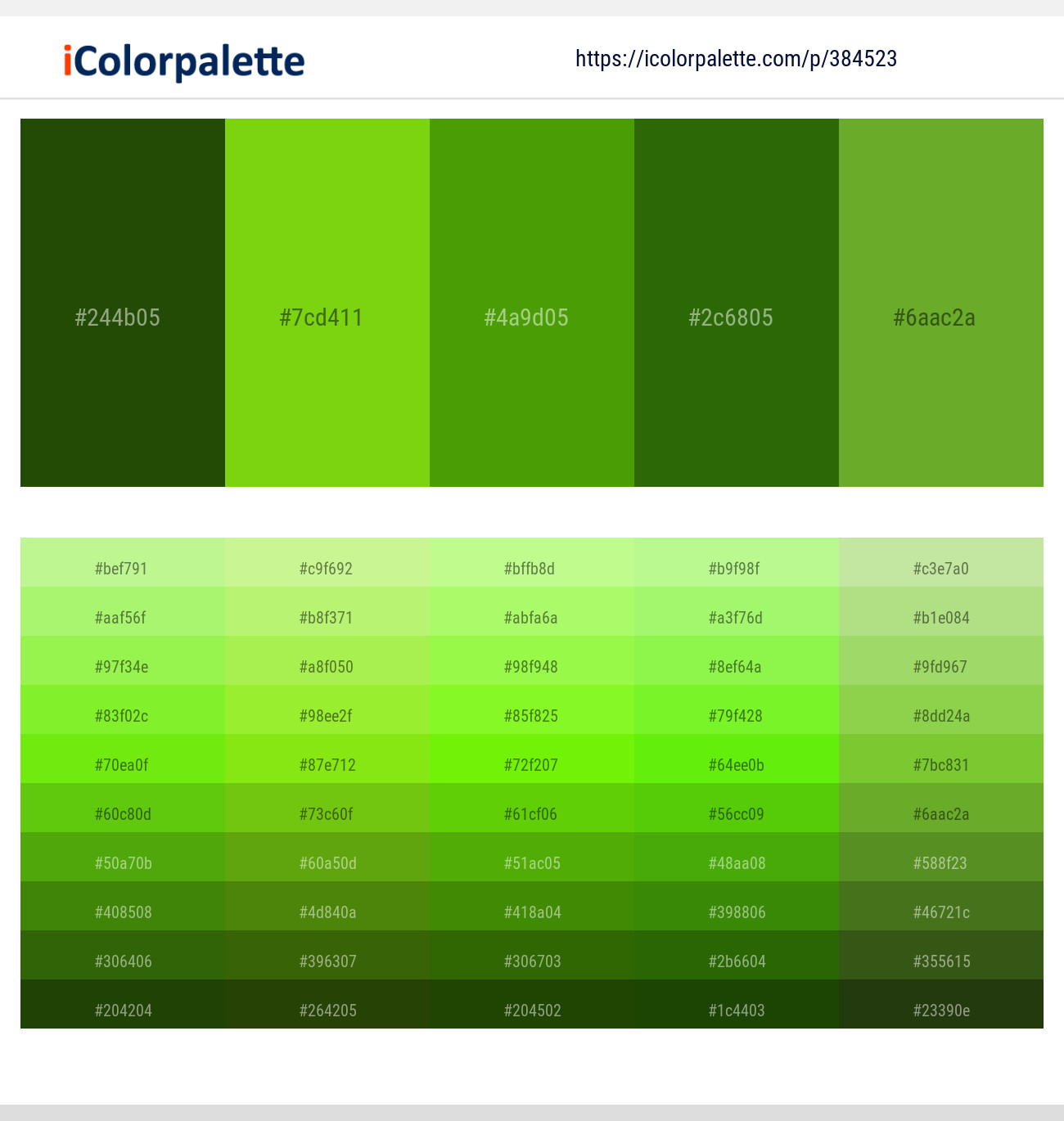 12+ Color Swatches Green
