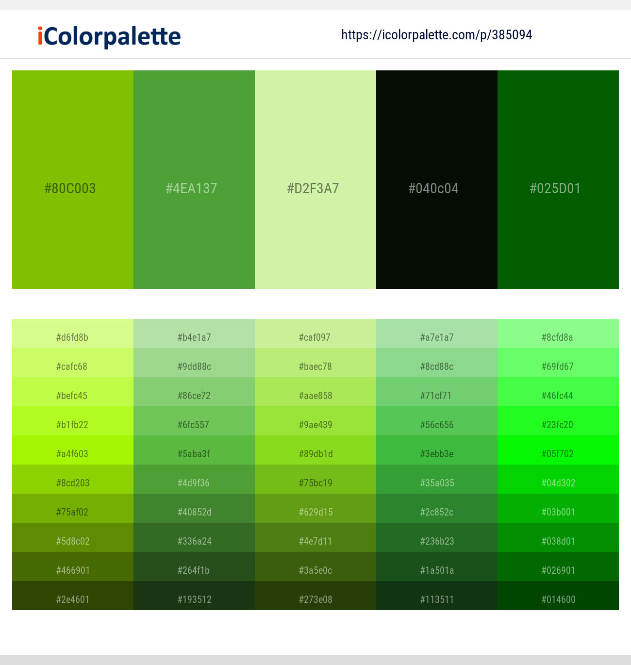 385094366 Bright Color Palettes