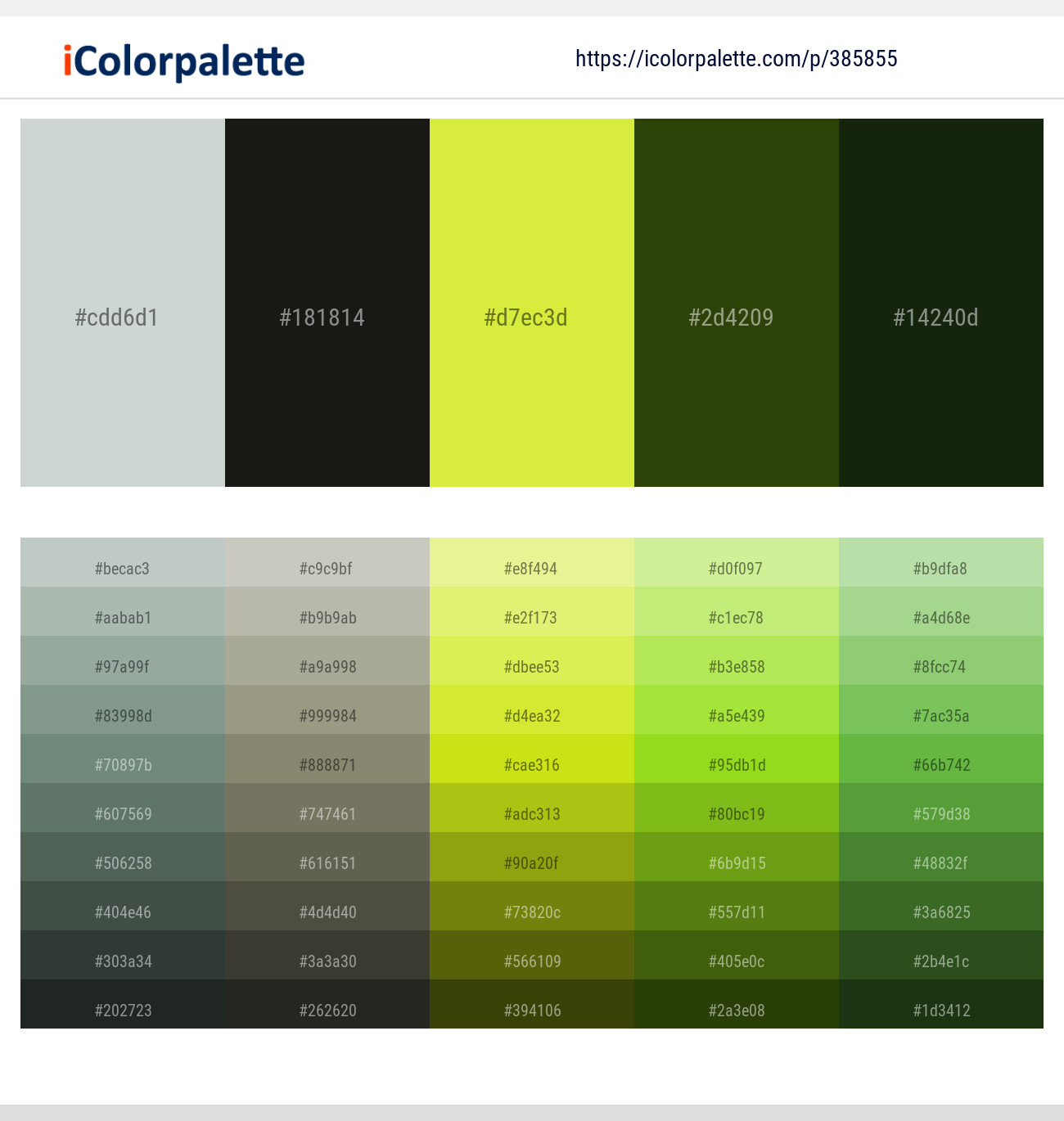 385855366 Bright Color Palettes