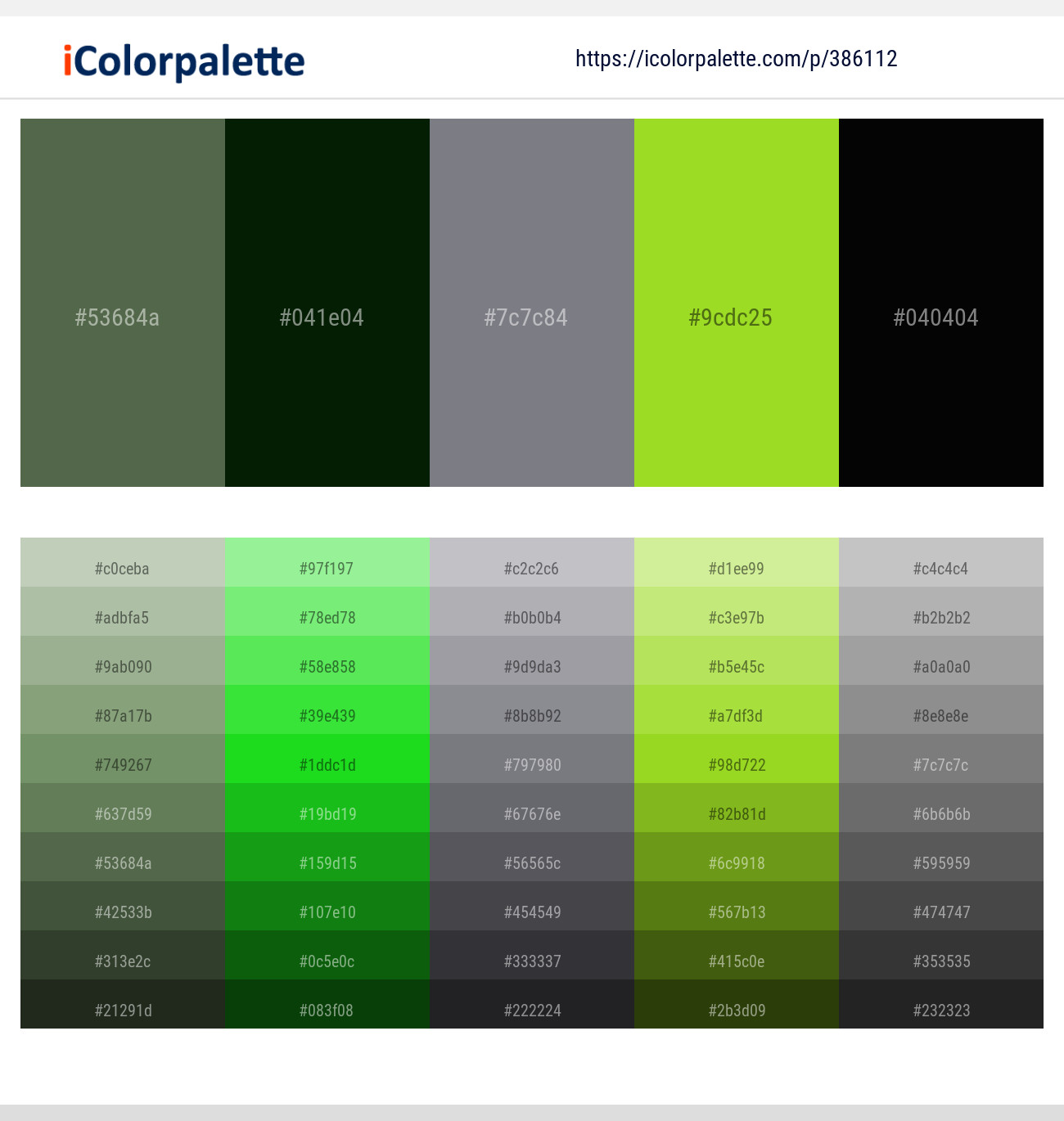 386112366 Bright Color Palettes