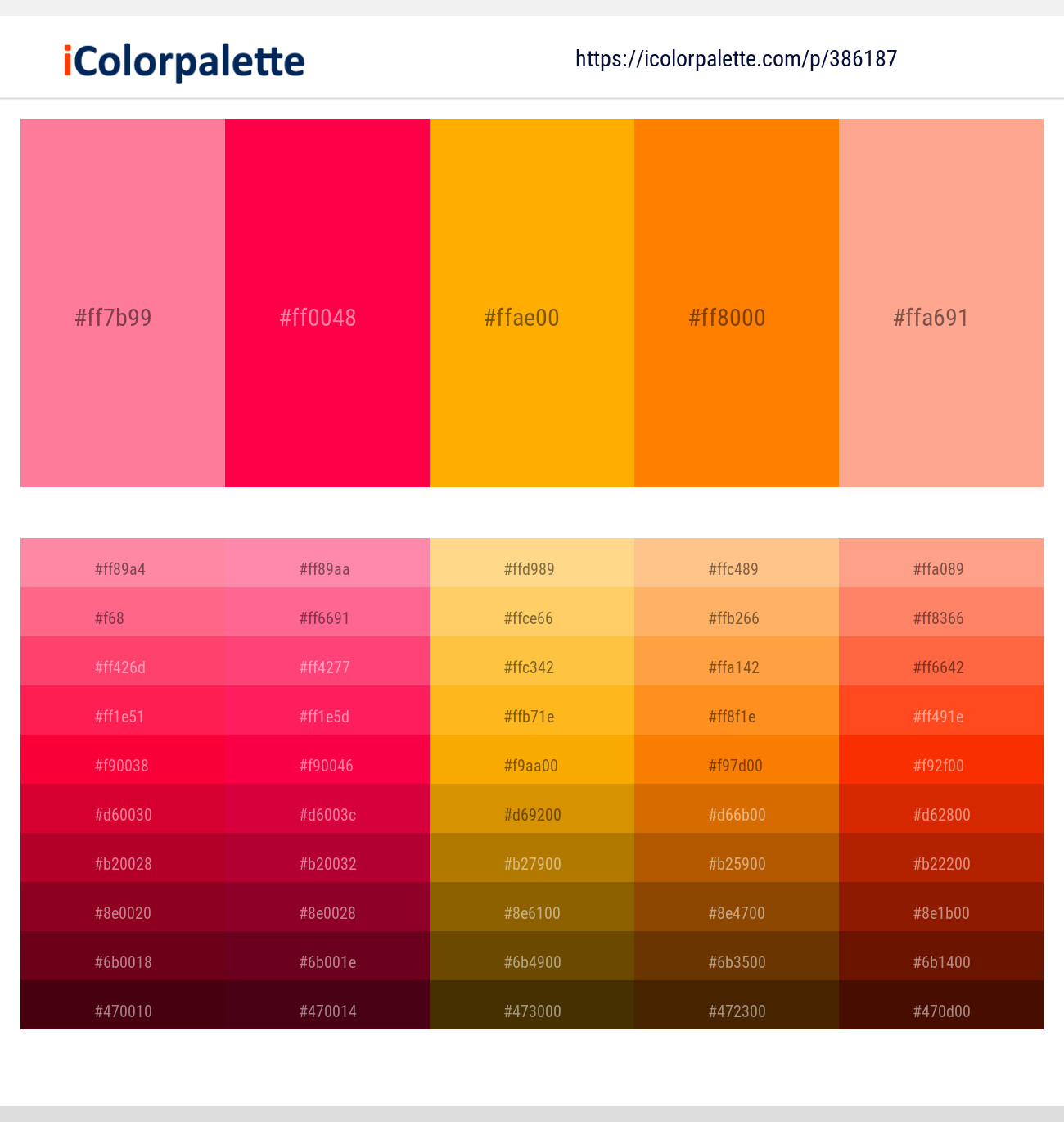 12 Latest Color Schemes Hot Pink And Orange Color tone combinations | 2022 |