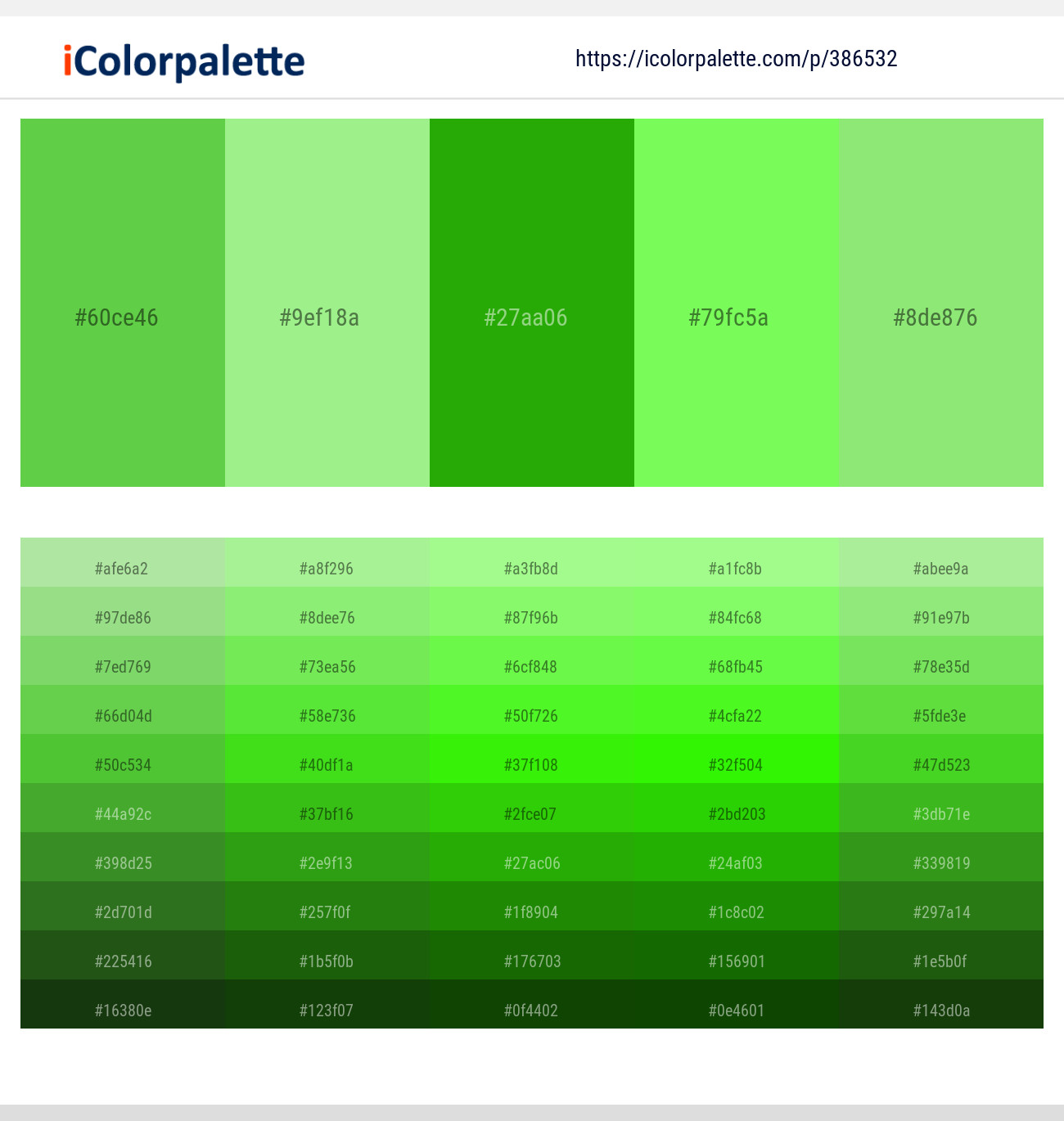 386532366 Bright Color Palettes