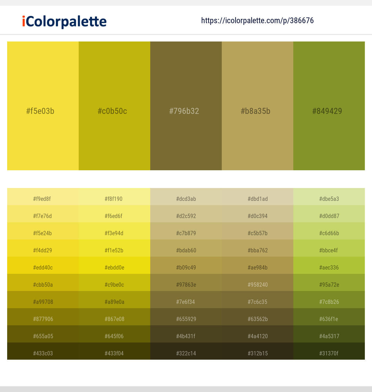 386676366 Bright Color Palettes