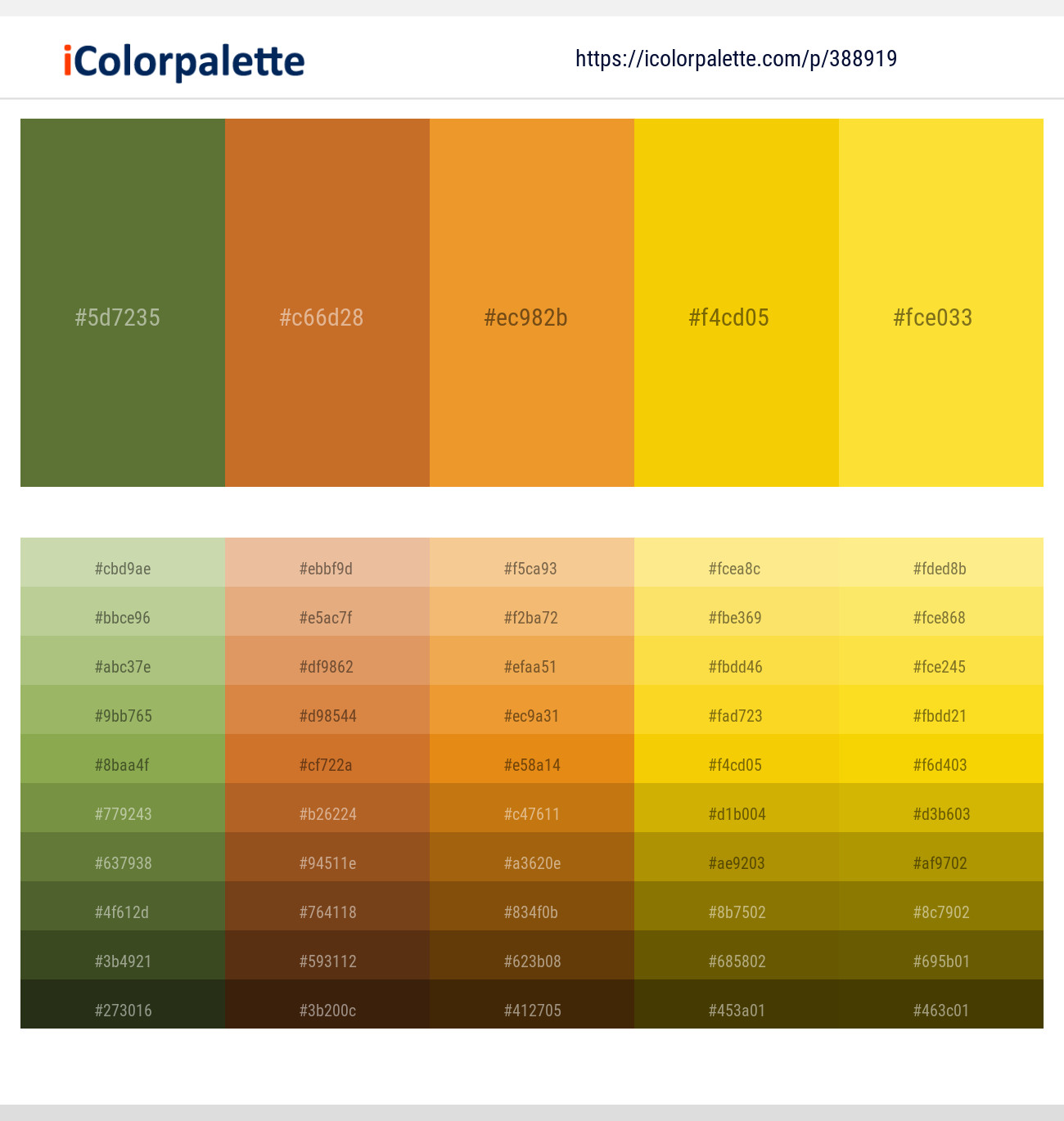 388919366 Bright Color Palettes
