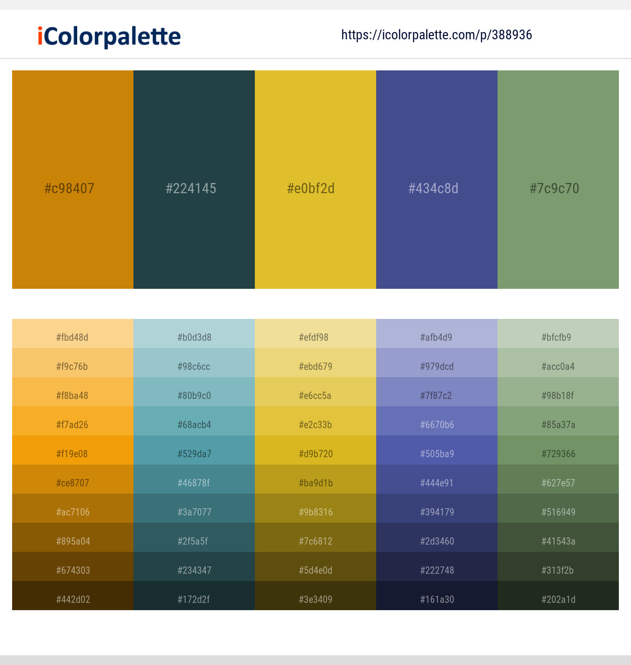 388936366 Bright Color Palettes