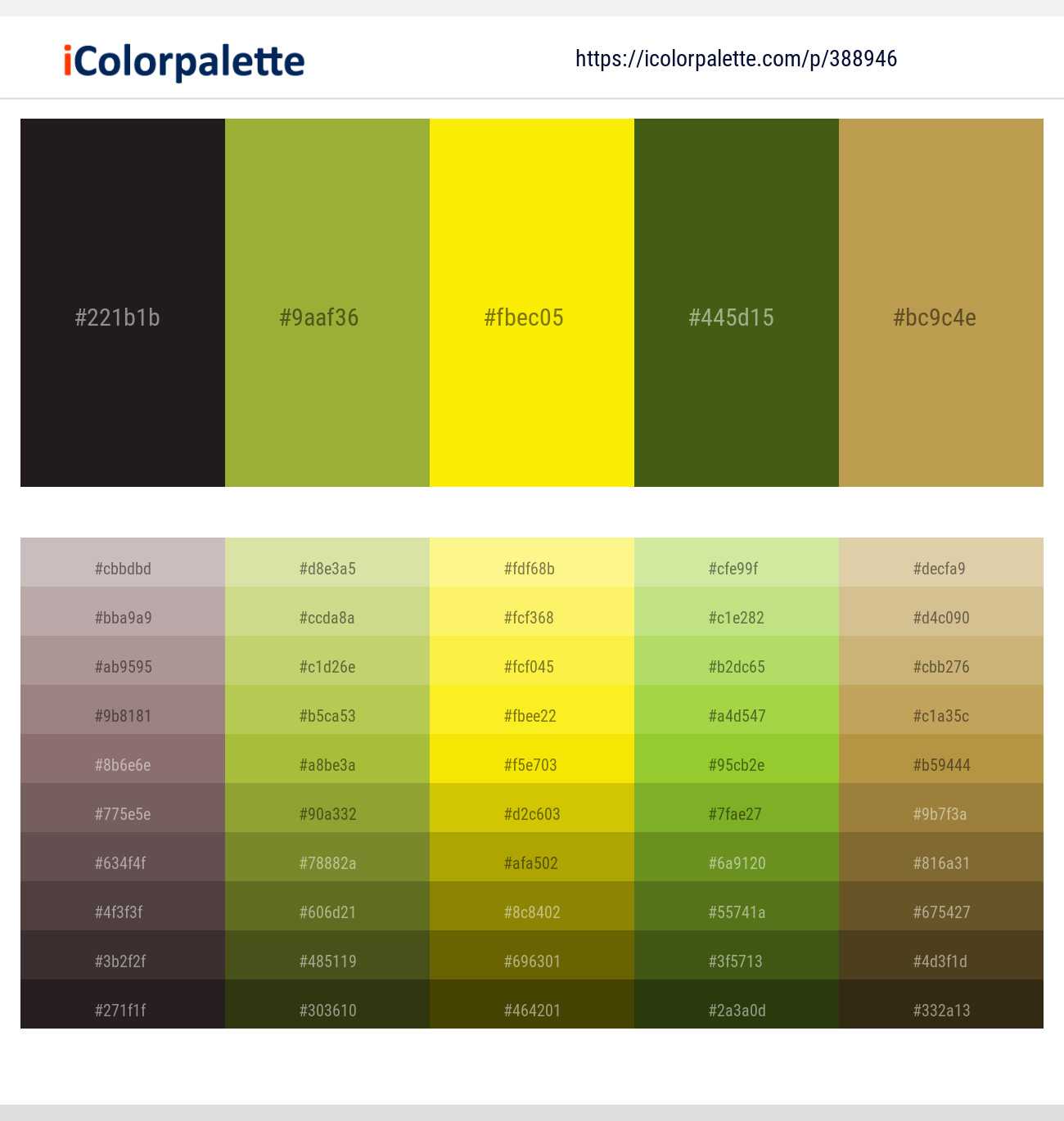388946366 Bright Color Palettes