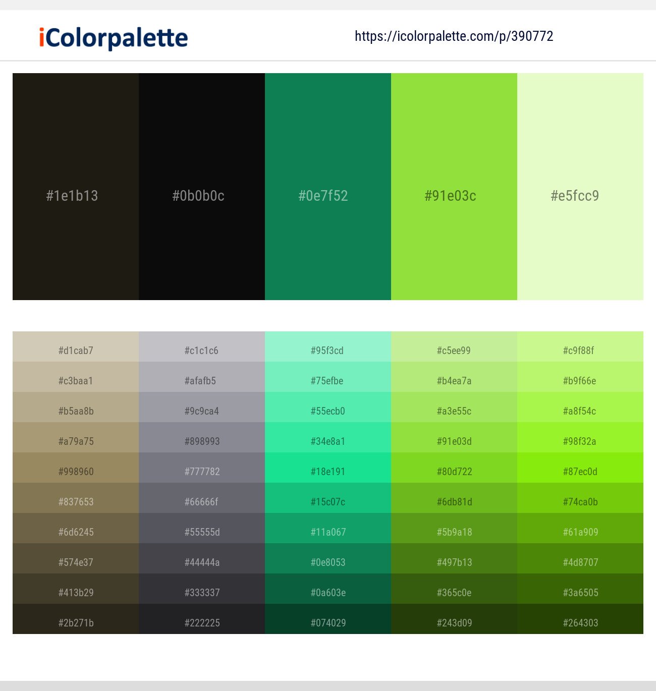 390772366 Bright Color Palettes