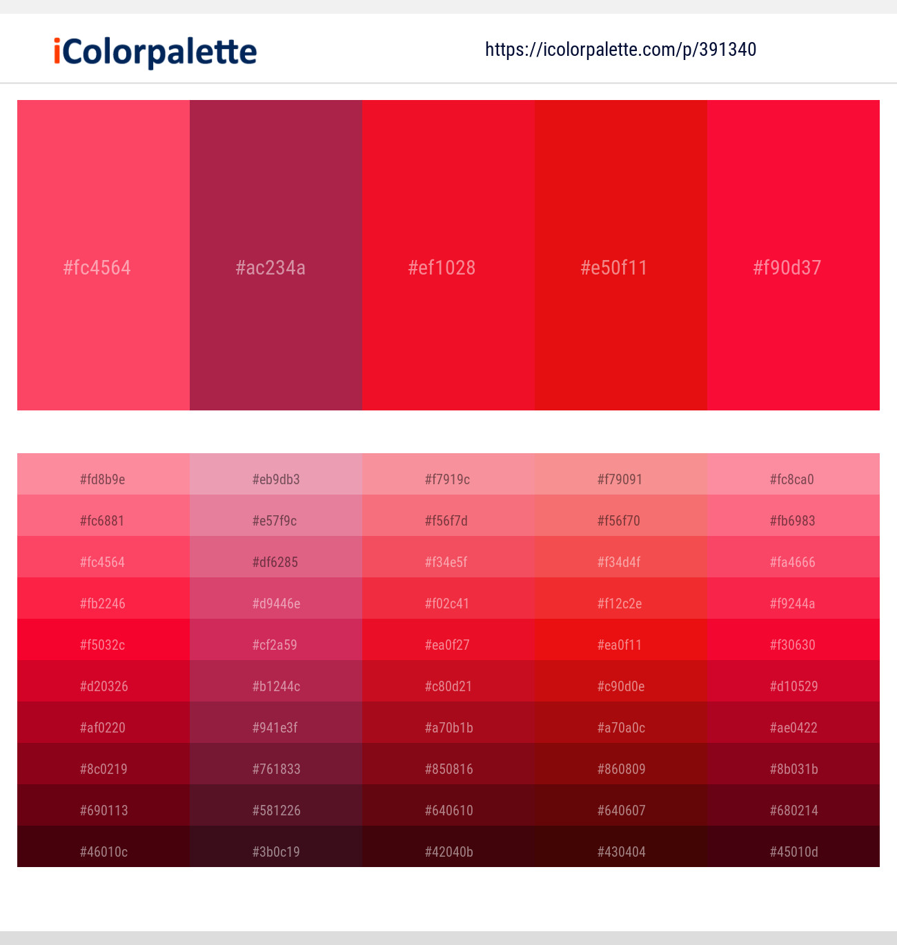 391340366 Bright Color Palettes