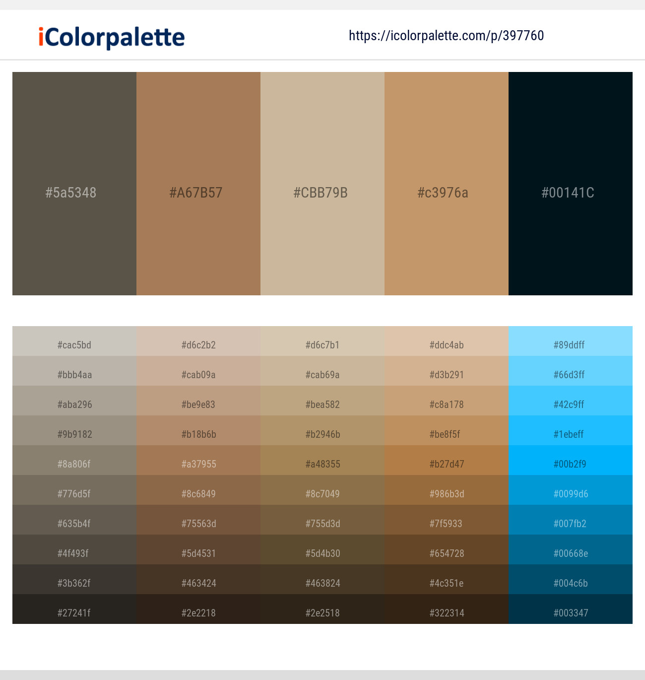 16 Brown Color Palettes  Curated collection of Color Palettes