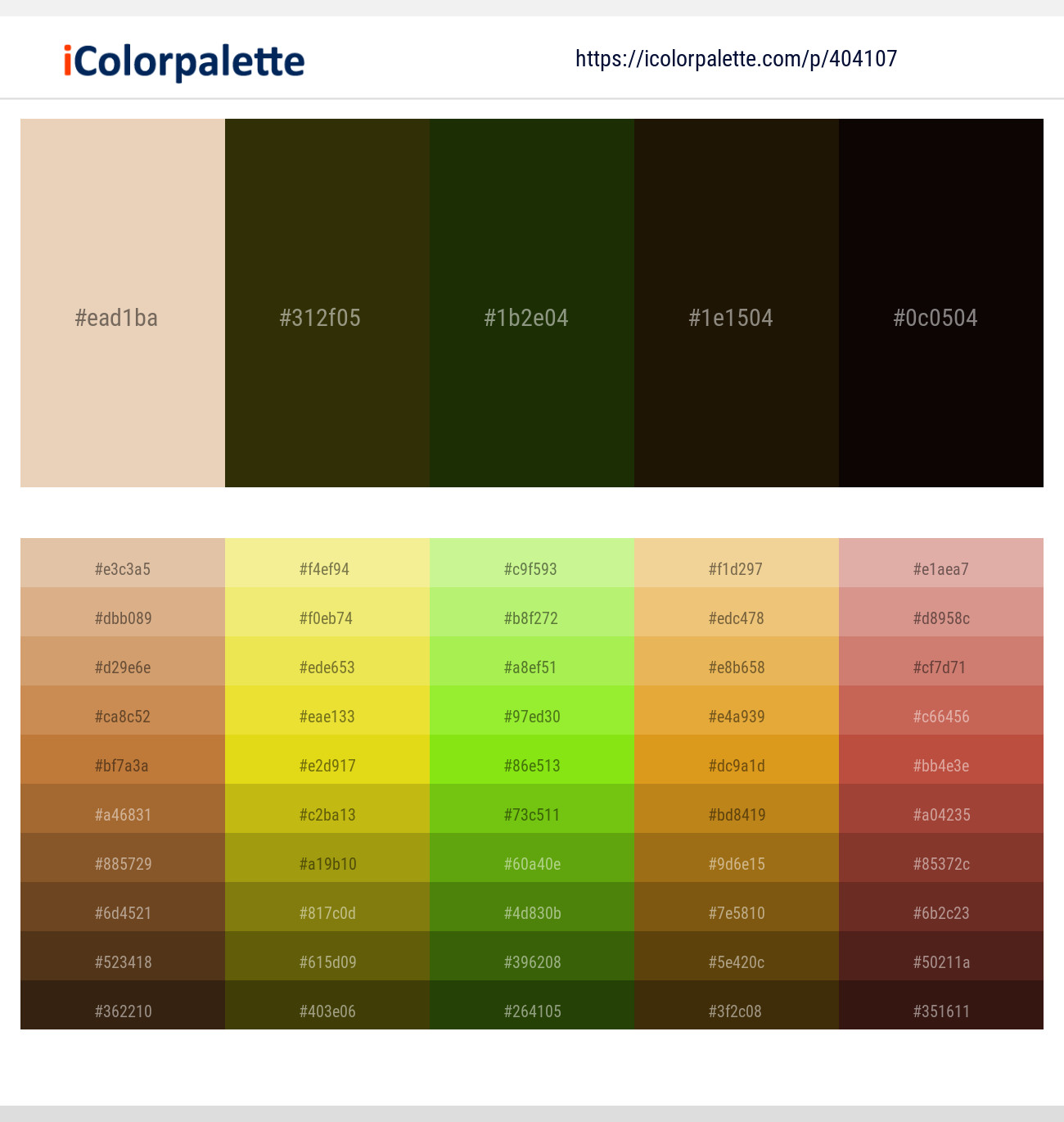 Raffia – Jacko Bean – Pine Tree – Acadia – Asphalt Color scheme