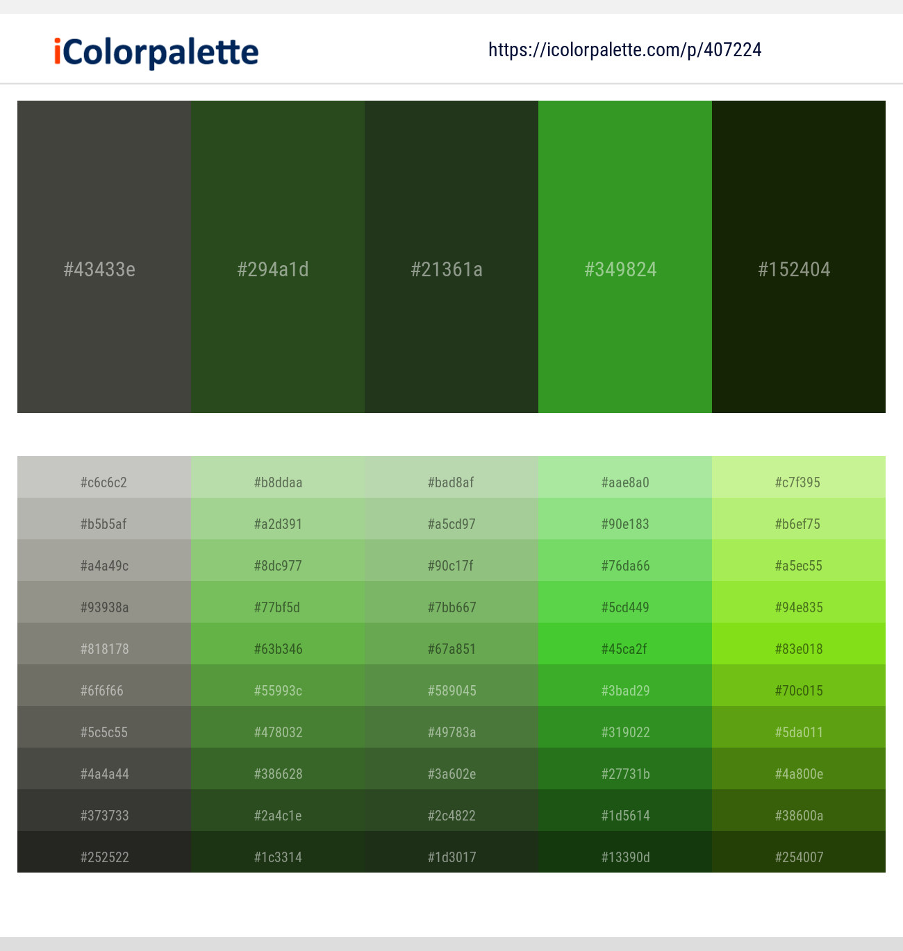 Armadillo – Mallard – Mallard – Forest Green – Pine Tree Color scheme