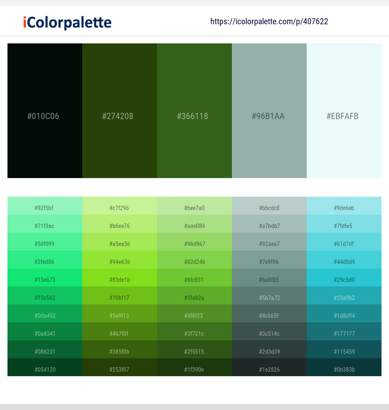 Holly – Turtle Green – Dell – Cascade – Polar Color scheme