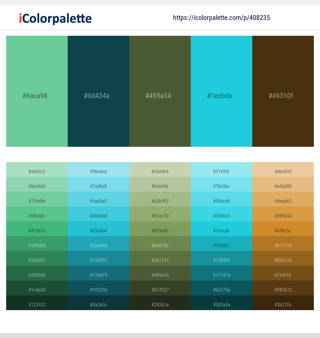 De York – Eden – Chalet Green – Java – Bronzetone Color scheme