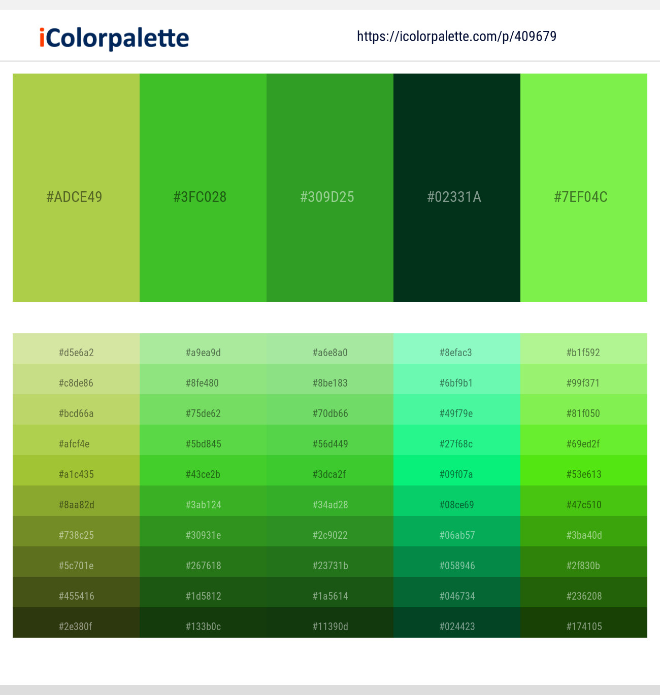Turmeric – Vida Loca – Forest Green – English Holly – Screamin’ Green Color scheme