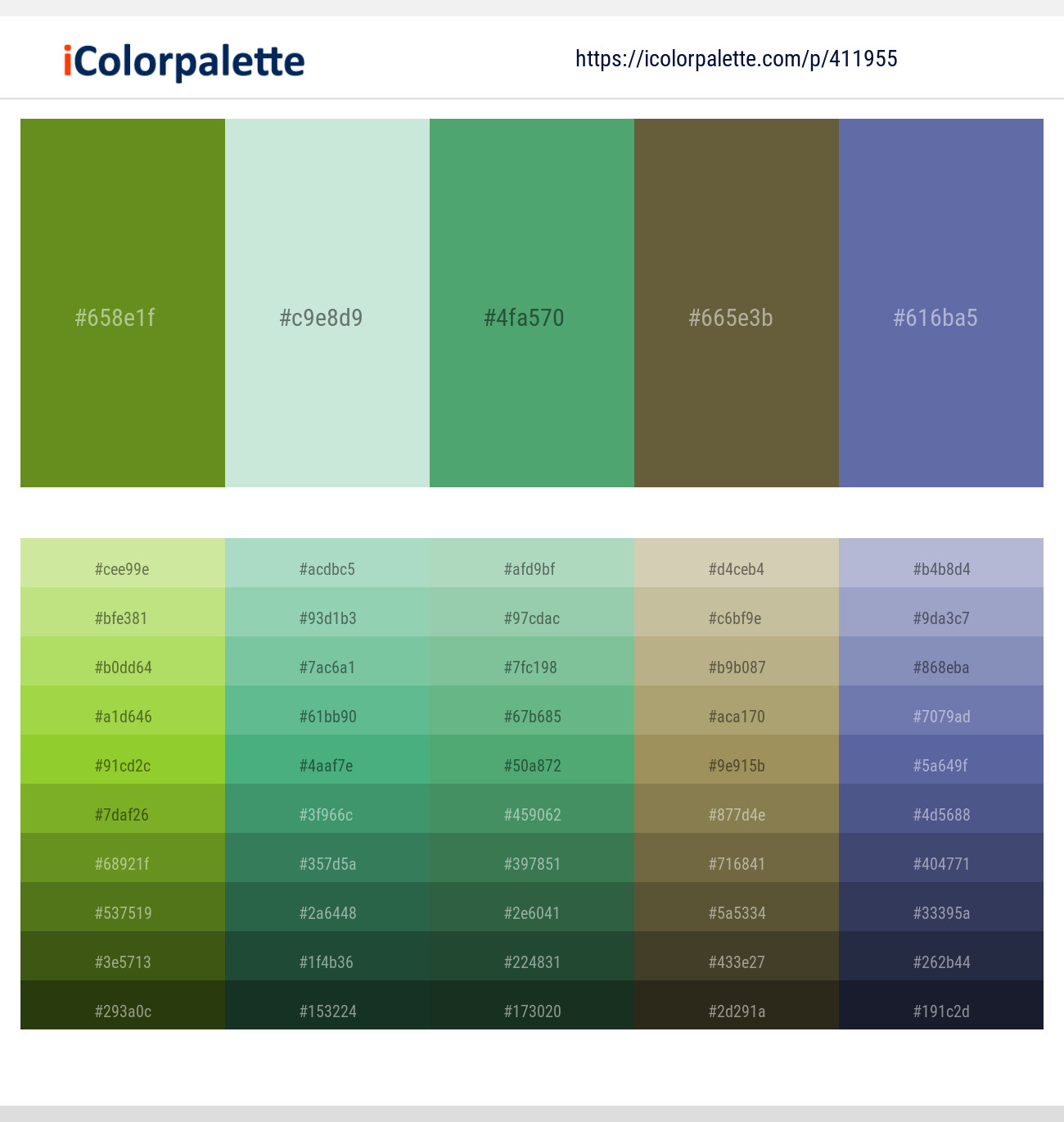 Olive Drab – Skeptic – Fruit Salad – Verdigris – Waikawa Gray Color scheme