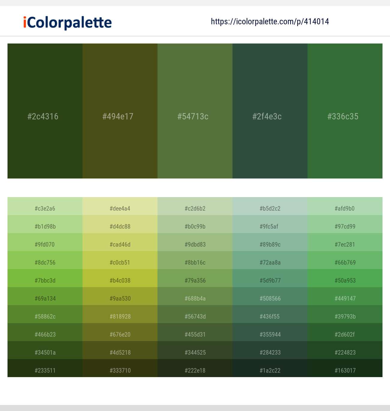Seaweed – Punga – Chalet Green – Stromboli – Killarney Color scheme