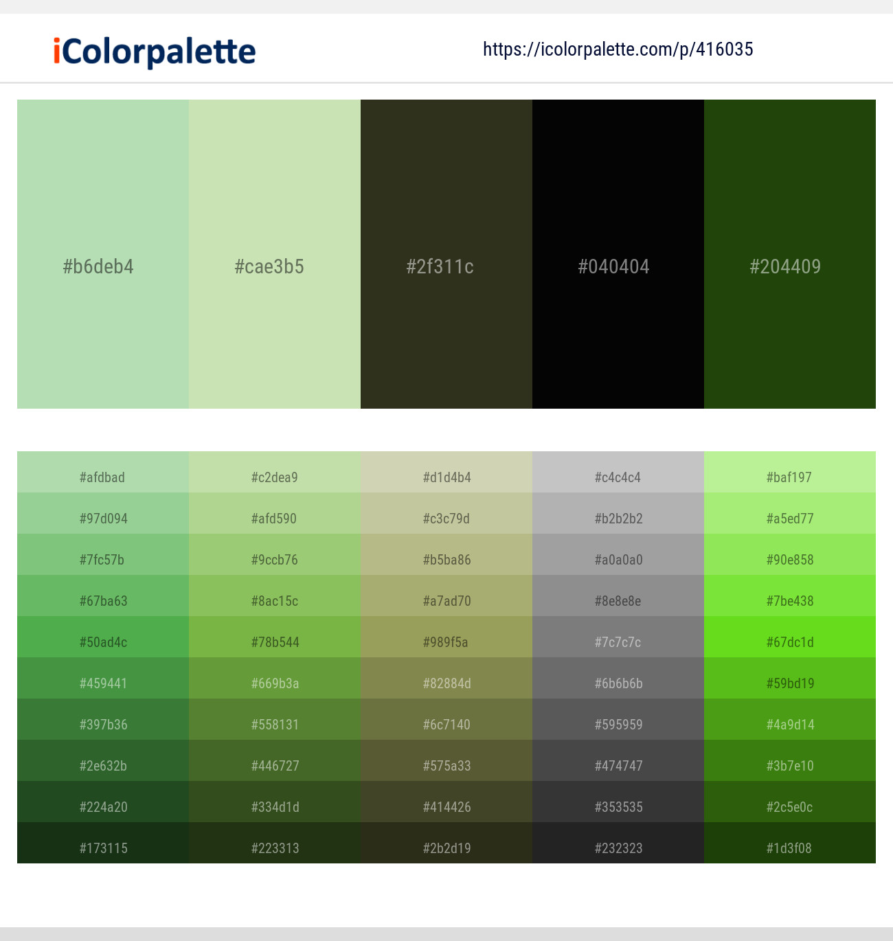 Dark Green Moss Color Palette